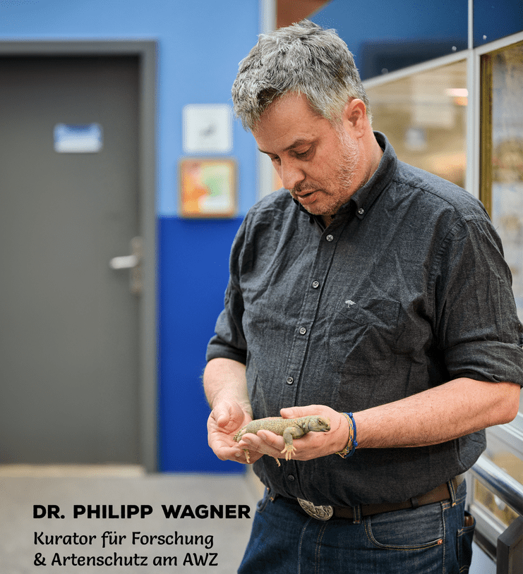 Dr. Philipp Wagner Dr. Philipp Wagner mit einem Leguan in der Hand