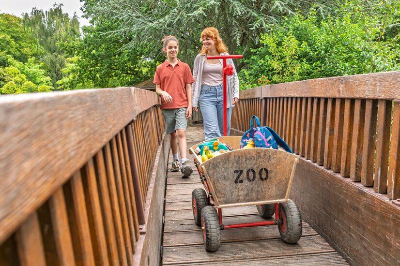 Eine Familie läuft mit einem Bollerwagen durch den Zoo in Münster