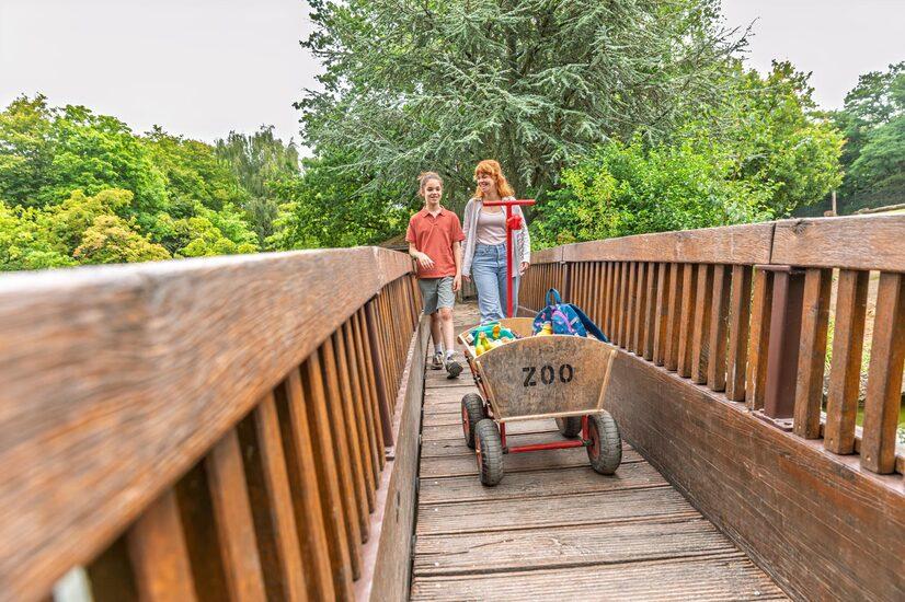 Eine Familie läuft mit einem Bollerwagen durch den Zoo in Münster