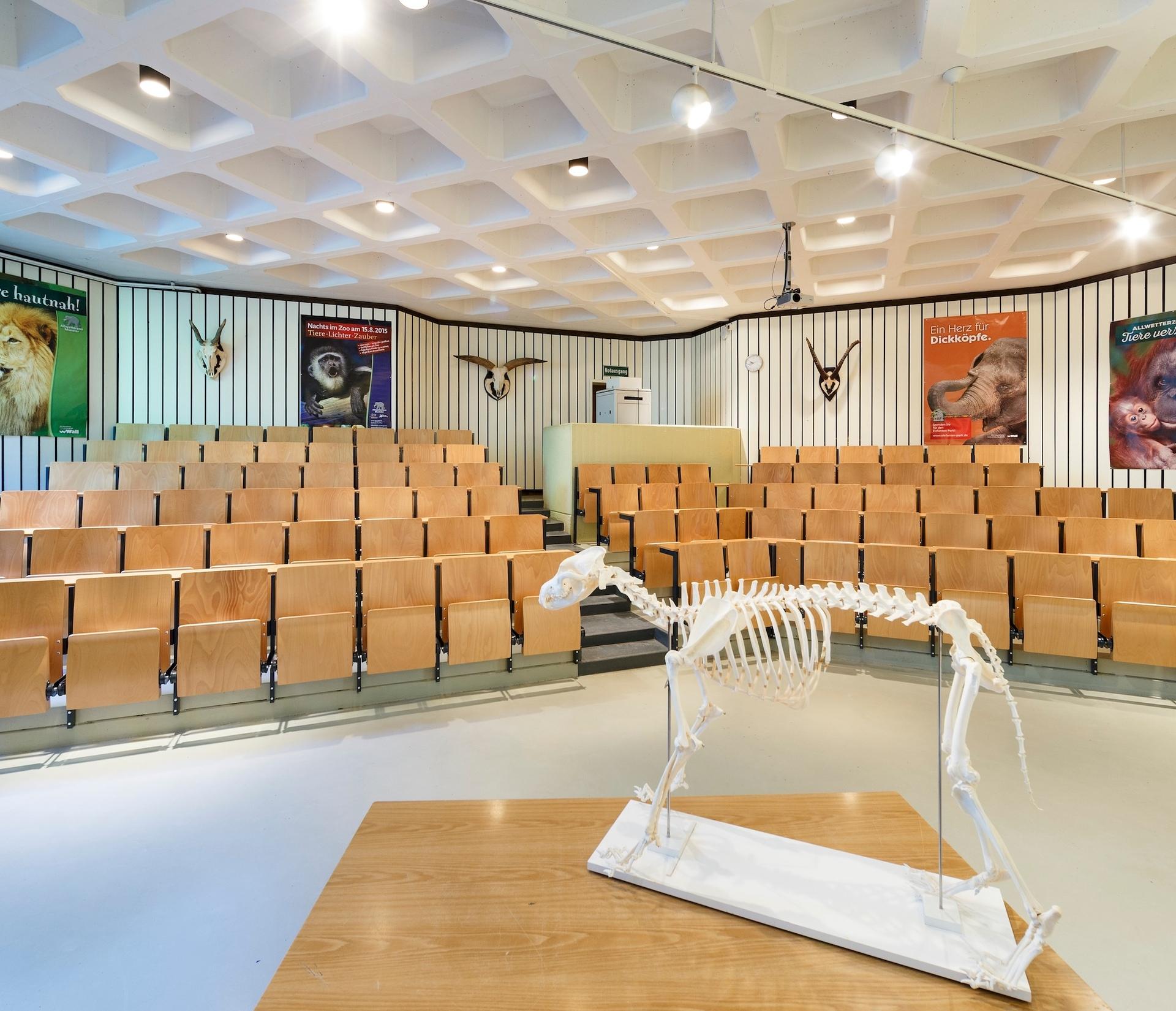 Der Seminarraum der Zooschule im Allwetterzoo