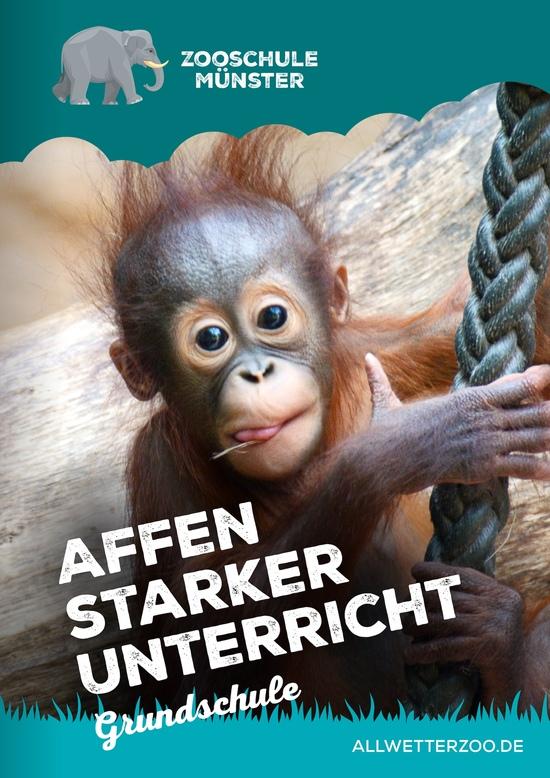 Flyer der Zooschule des Allwetterzoos für Grundschüler