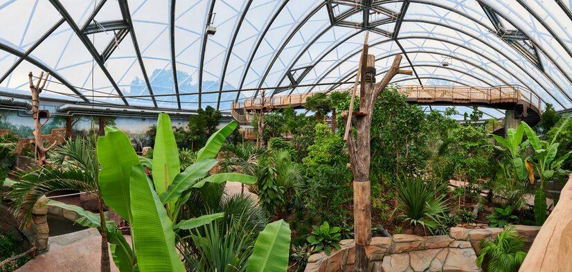 Der Panoramablick über die Meranti Tropenhalle im Allwetterzoo Münster