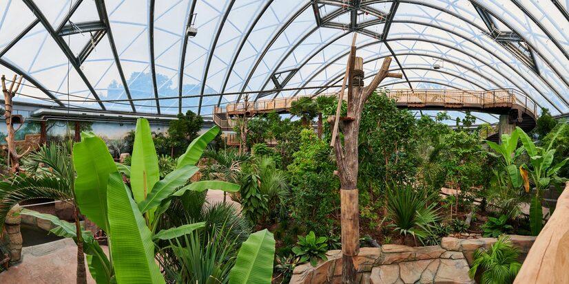Der Panoramablick über die Meranti Tropenhalle im Allwetterzoo Münster