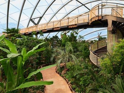 Besucherbrücke in der tropischen Meranti-Halle