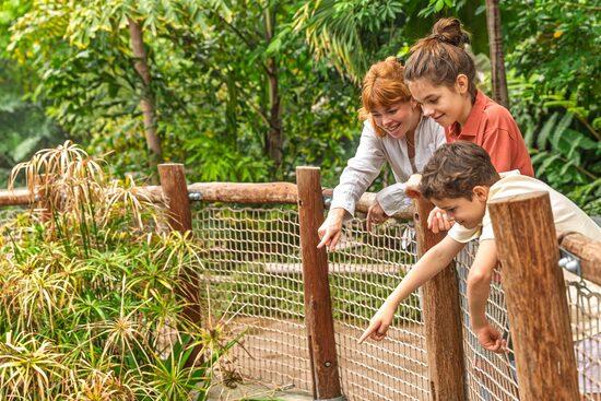 Kinder entdecken mit einer Tierpflegerin gemeinsam den Allwetterzoo Münster bei einer Zooführung