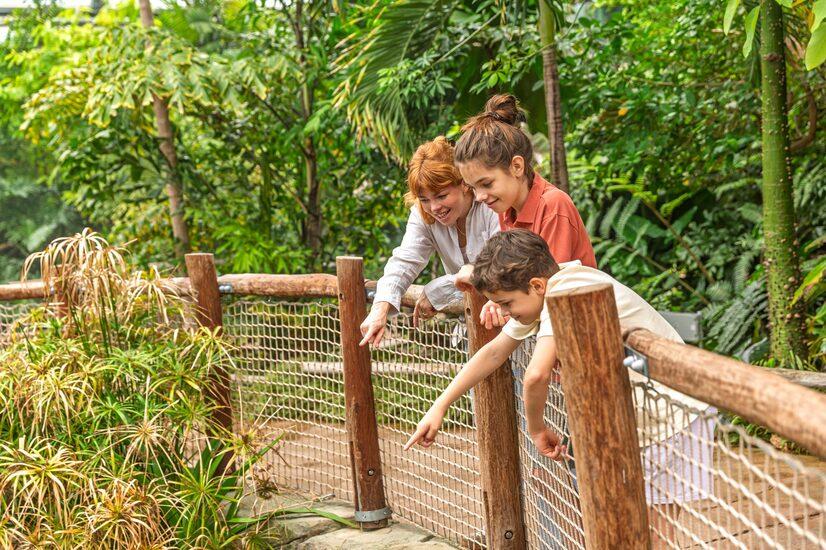 Kinder entdecken mit einer Tierpflegerin gemeinsam den Allwetterzoo M&uuml;nster bei einer Zoof&uuml;hrung