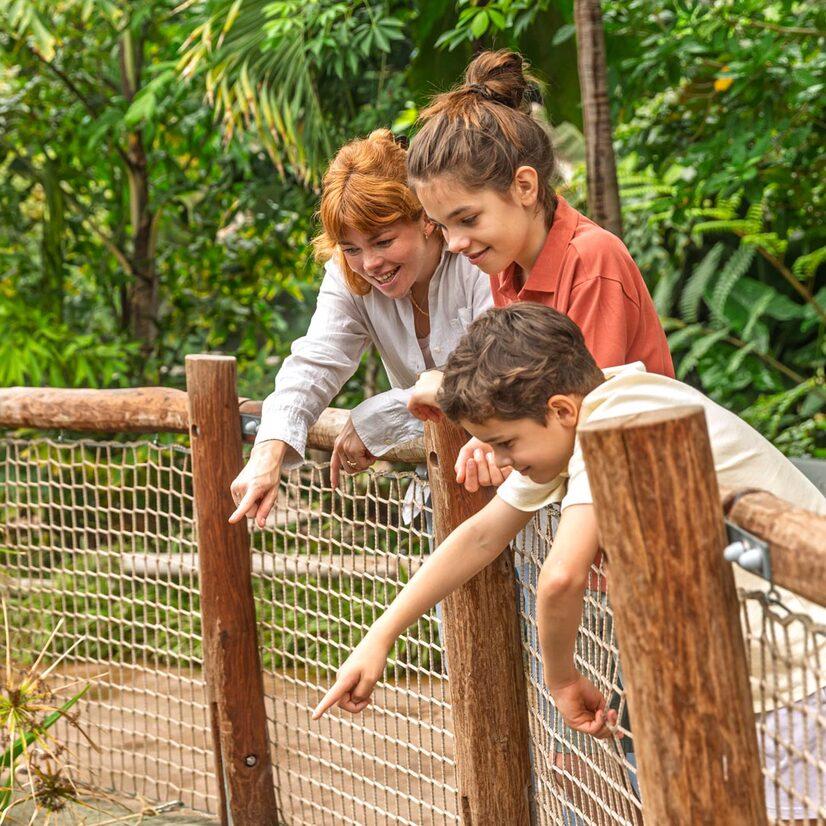 Kinder entdecken mit einer Tierpflegerin gemeinsam den Allwetterzoo Münster bei einer Zooführung