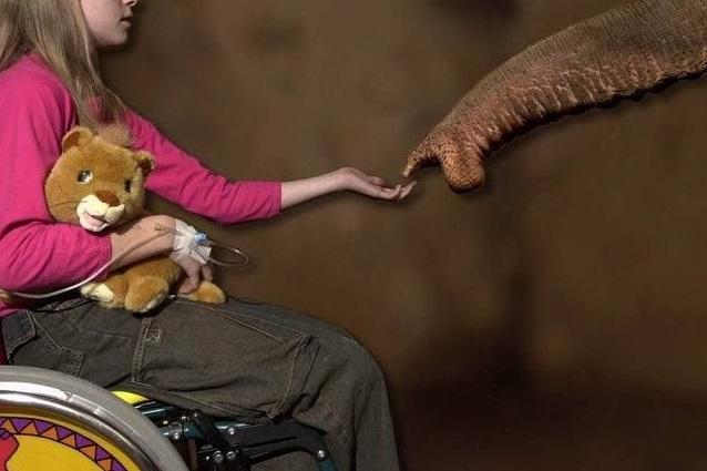 Ein Mädchen im Rollstuhl mit einem Tigerstofftier auf dem Arm hält einem Elefanten die Hand hin