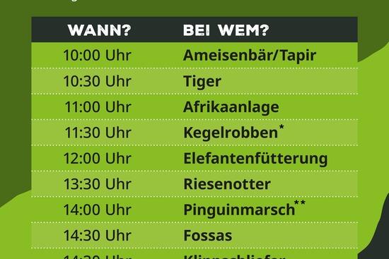 Der neue Stundenplan f&uuml;r tierische Veranstaltungen im Allwetterzoo M&uuml;nster