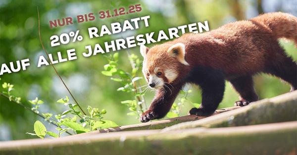 Rabattaktion Jahreskarten Ein Roter Panda läuft über einen Ast von rechts nach links. Daneben preist ein Schriftzug eine Rabattaktion an, bei der es 20% auf Jahreskarten gibt