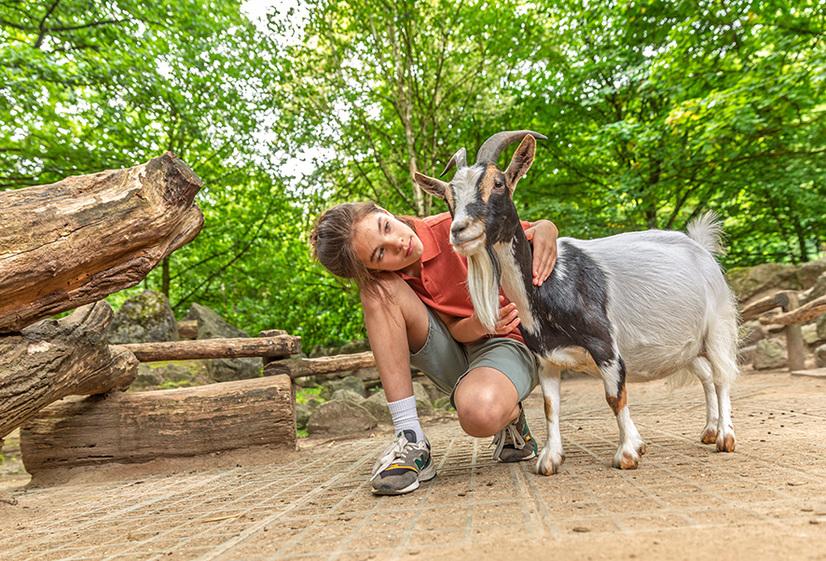 Allwetterzoo Kind Streichelzoo Ein Junge kniet neben einer Ziege