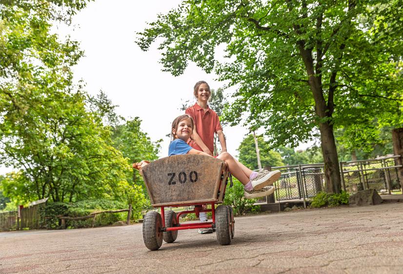 Kinder Bollerwagen Ein Kind sitzt im Bollerwagen mit der Aufschrift "Zoo". Ein anderes Kind zieht den Wagen