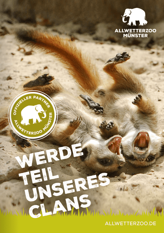 Das Titelblatt des Flyers zum Sponsoringpaket "Steppenräuber" mit zwei Erdmännchen