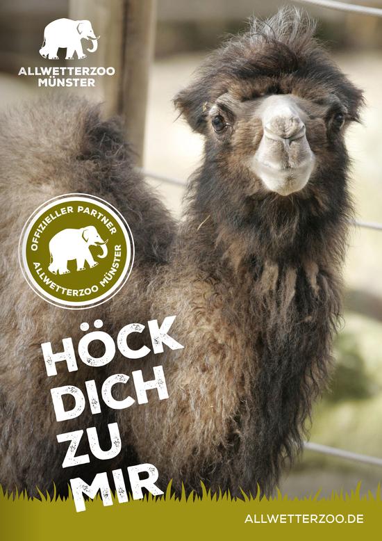 Das Titelblatt des Flyers zum Sponsoringpaket "Wüstentaxi" mit einem Kamel