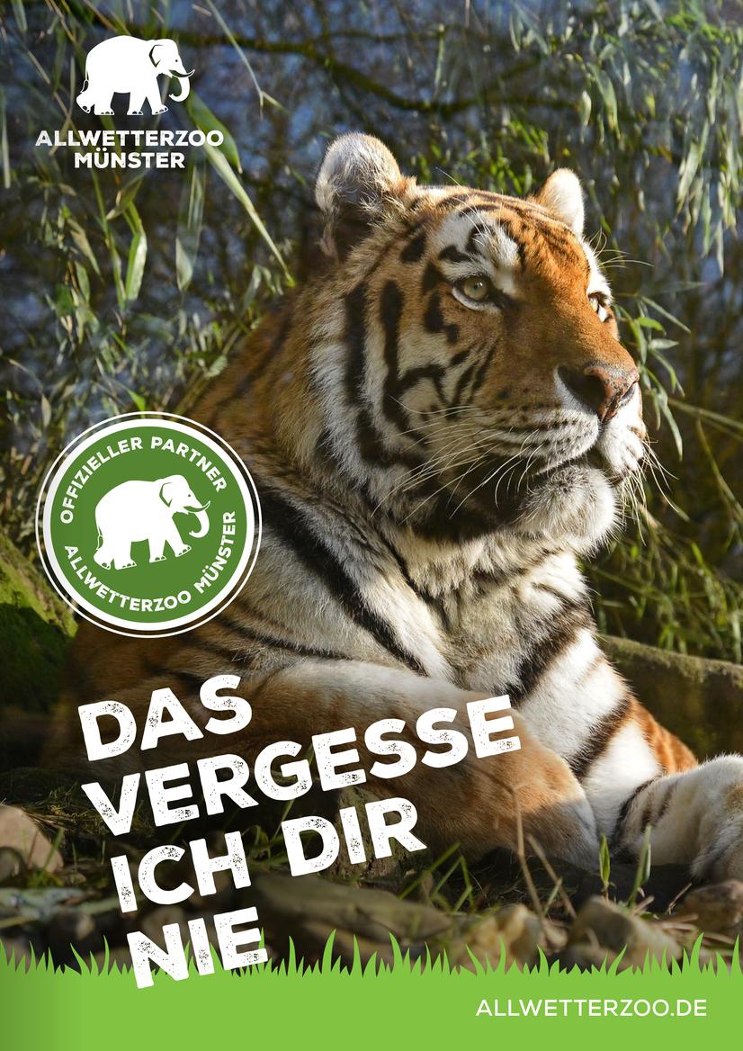 Das Titelblatt des Flyers zum Sponsoringpaket "Dschungelkönig" mit einem Kamel