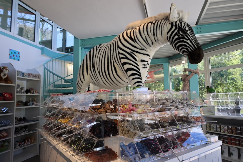 Die Bonbonbude im Allwetterzoo mit einer Auswahl verschiedener Süßigkeiten in einer Theke