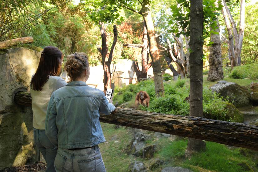 In Zukunft sollen die Besucher*innen im Zoo das KI-System SKADI nutzen k&ouml;nnen.