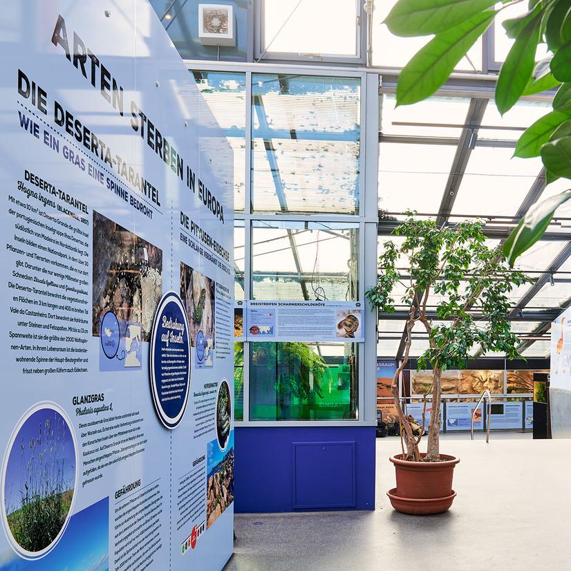 Der Artenschutzcampus im Allwetterzoo Münster mit Terrarien und Infomaterial zum Artenschutz