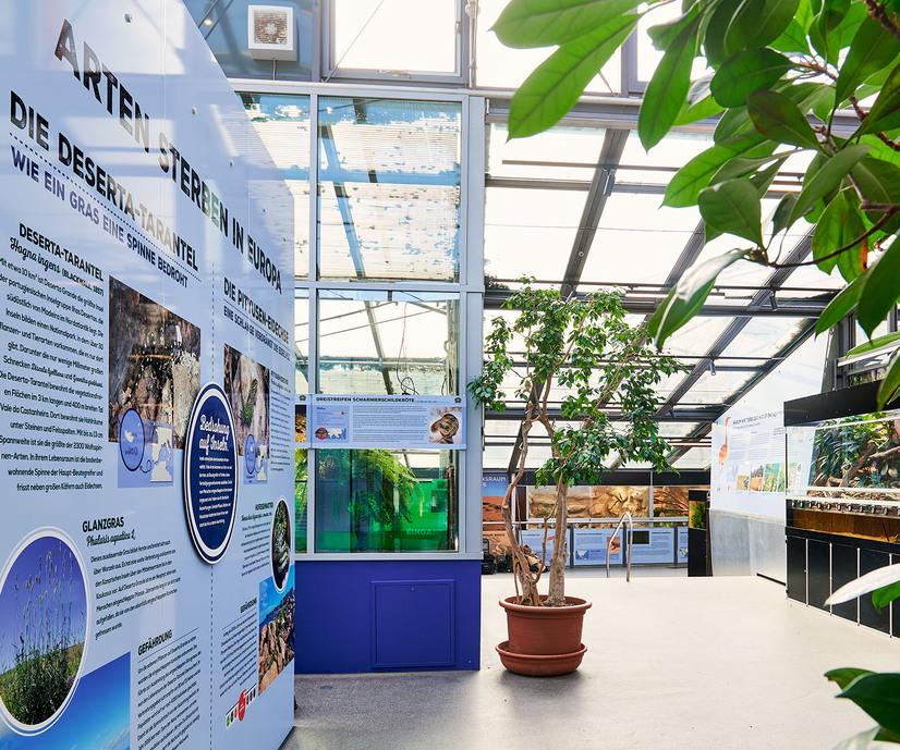 Der Artenschutzcampus im Allwetterzoo M&uuml;nster mit Terrarien und Infomaterial zum Artenschutz
