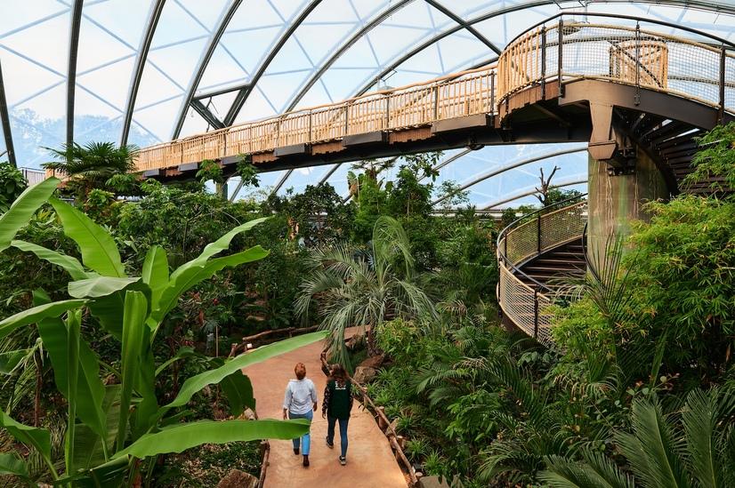 Ein Panoramablick durch die Indoor-Tropenhalle im Allwetterzoo Münster