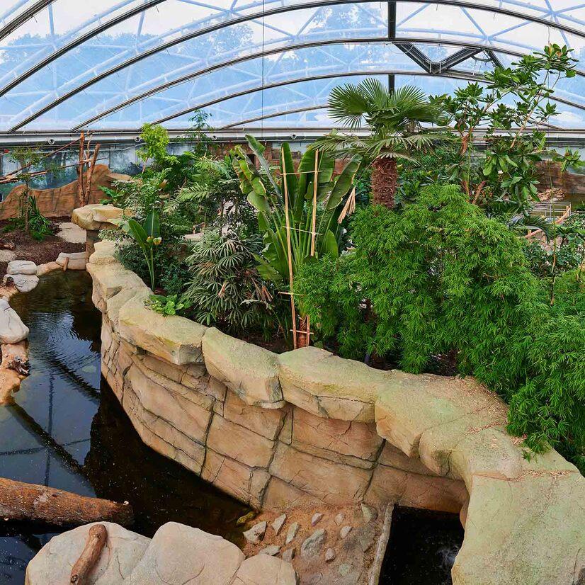 Eine Übersicht über die Meranti Tropenhalle im Allwetterzoo Münster