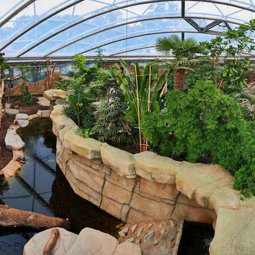 Eine Übersicht über die Meranti Tropenhalle im Allwetterzoo Münster