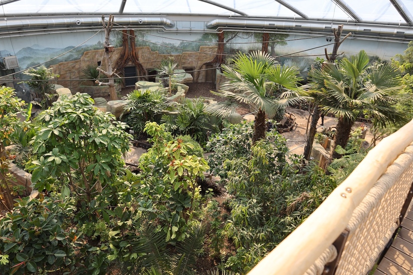 Innenansicht der Meranti Tropenhalle im Allwetterzoo Münster