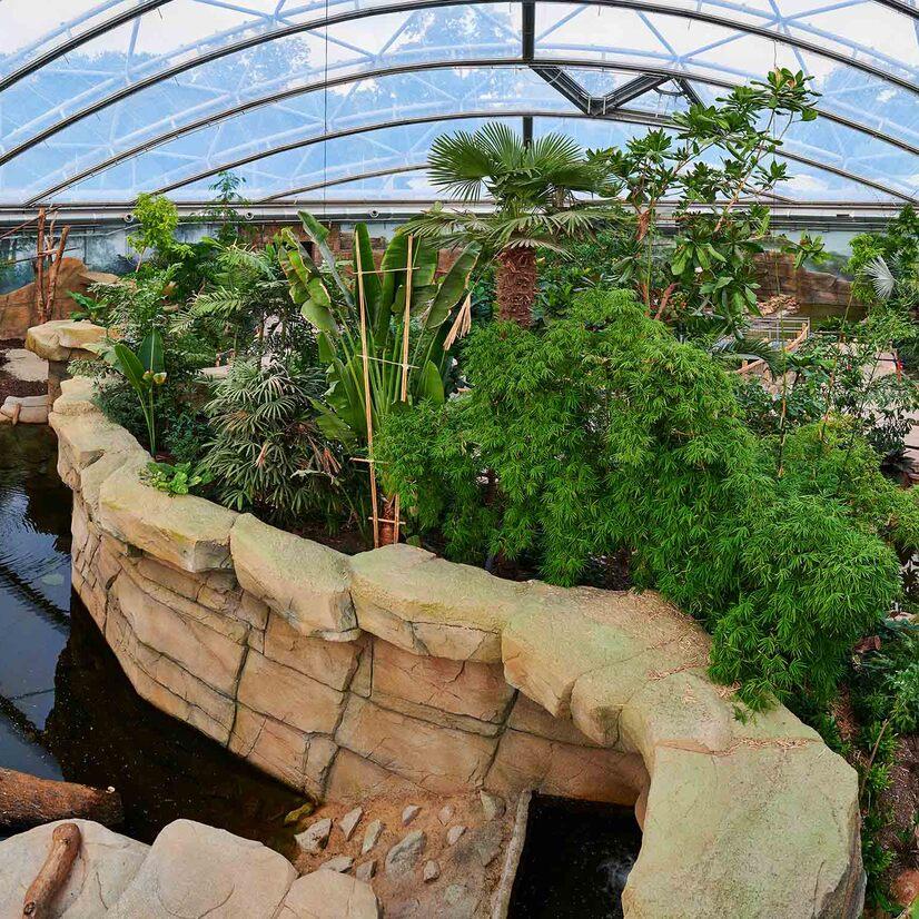 Eine &Uuml;bersicht &uuml;ber die Meranti Tropenhalle im Allwetterzoo M&uuml;nster