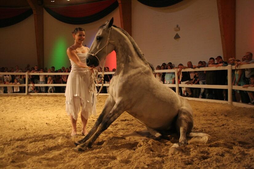 Eine Frau im Kleid mit sitzendem Pferd bei einer Pferdeshow im westfälischen Pferdemuseum