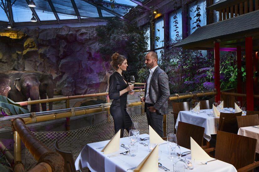 Das Elefantenhaus im Allwetterzoo Münster als Eventlocation mit gedeckten Tischen