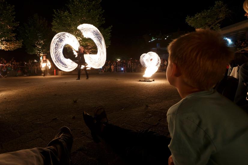 Kinder schauen einer Lichtshow im Allwetterzoo Münster zu