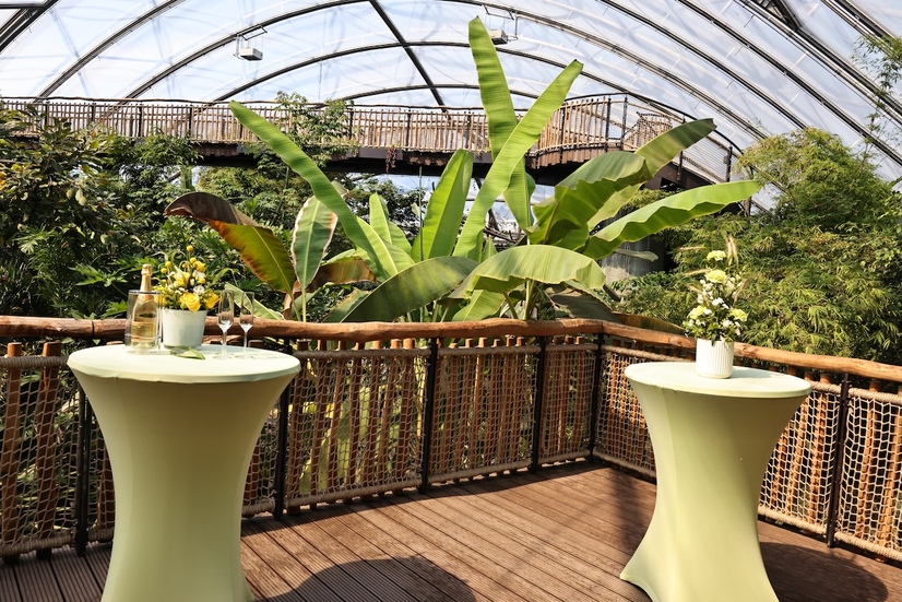 Empore in der Meranti Halle eingedeckt mit Stehtischen für eine Hochzeit