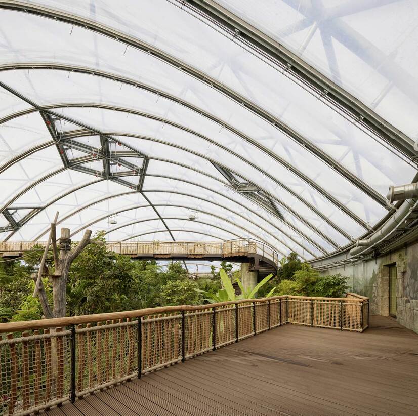 Ein Ausblick in die Meranti Tropenhalle im Allwetterzoo Münster