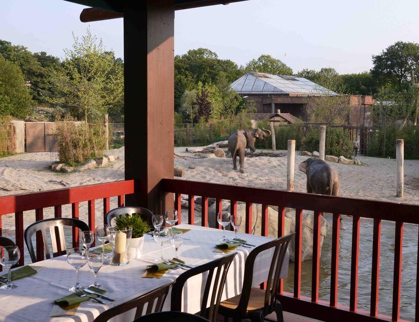 Das Langhaus am Elefantengehege hergerichtet als Eventlocation M&uuml;nster