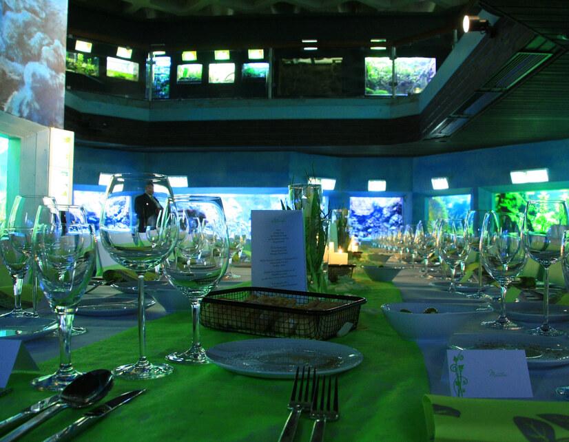 Das Aquarium im Allwetterzoo hergerichtet als Eventlocation in M&uuml;nster