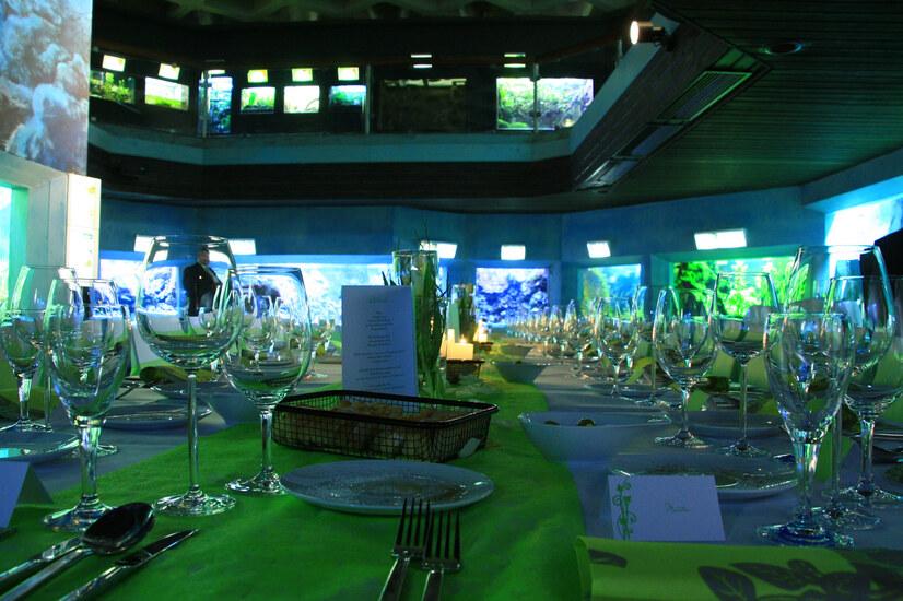 Das Aquarium im Allwetterzoo hergerichtet als Eventlocation in Münster