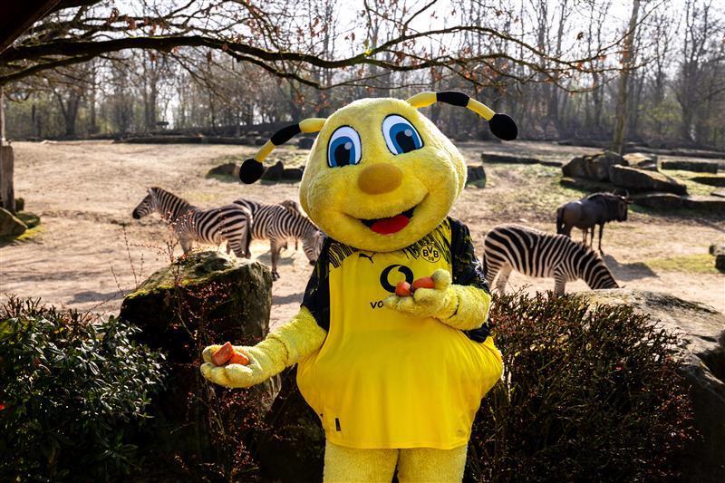 BVB-Maskottchen Emma steht mittig vor einem Geb&uuml;sch. Im Hintergrund sieht man Zebras und Gnus.