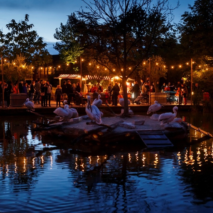 Das Pelikangehege im Allwetterzoo bei Nacht