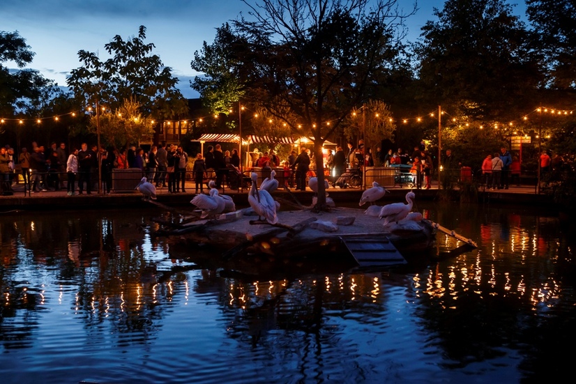 Das Pelikangehege im Allwetterzoo bei Nacht