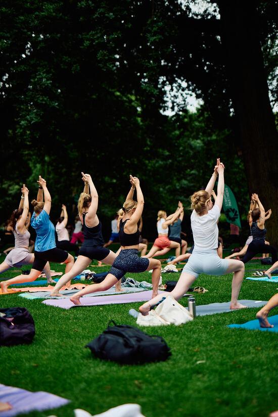mehrere Menschen auf einer gr&uuml;nen Wiese machen Yoga