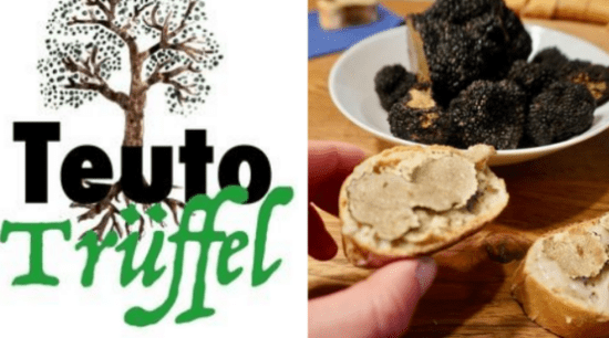 Trüffel Dinner Zweigeteiltes Bild: Links illustrierter Baum und der Schirftzug Teuto-Trüffel. Rechts eine Schale mit Trüffeln und jemand hält eine Scheibe Brot mit Trüffelscheiben darauf.
