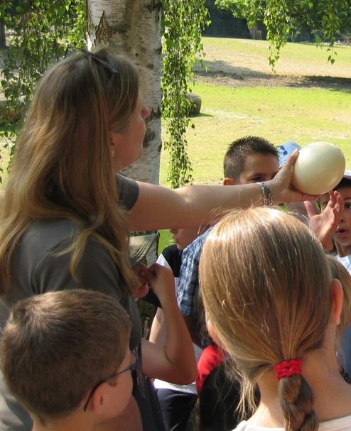 Rund ums Ei Führung Eine Mitarbeiterin des Zoos hält ein Straußenei in die Luft, so dass drumherumstehende Kinder es sehen können