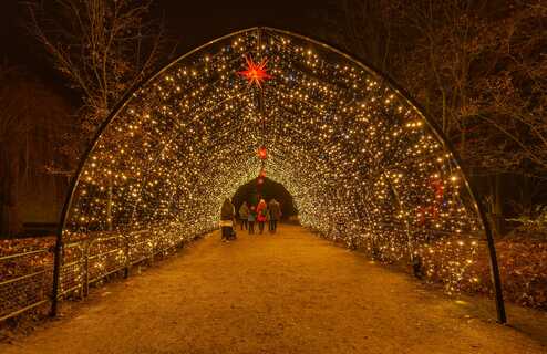Lichtbogen XMAS Lights Ein Weg im Zoo ist überspannt mit einem Bogen in dem hunderte kleine, warmweiße Lichter leuchten. In der Mitte hängt ein roter Stern