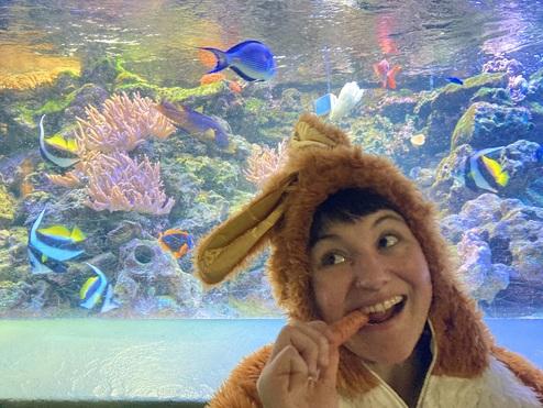 Osterhase Aquarium Mensch in Osterhasen-Kostüm beisst in Karotte und steht vor einem Aquarium mit bunten Fischen